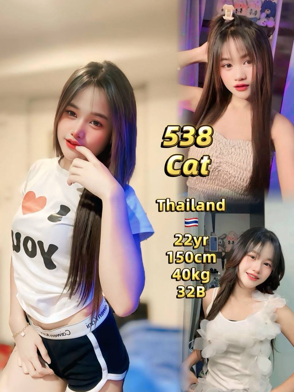 Cat JB Escort Xiaojie